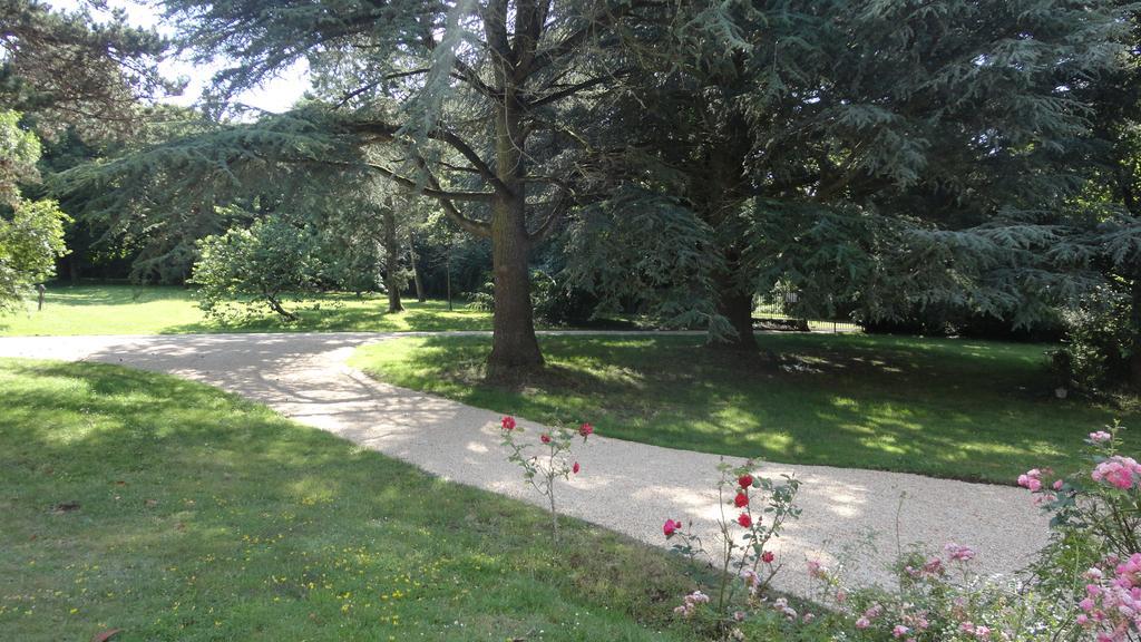 Chateau De La Frogerie Bed & Breakfast Maulevrier Exterior photo